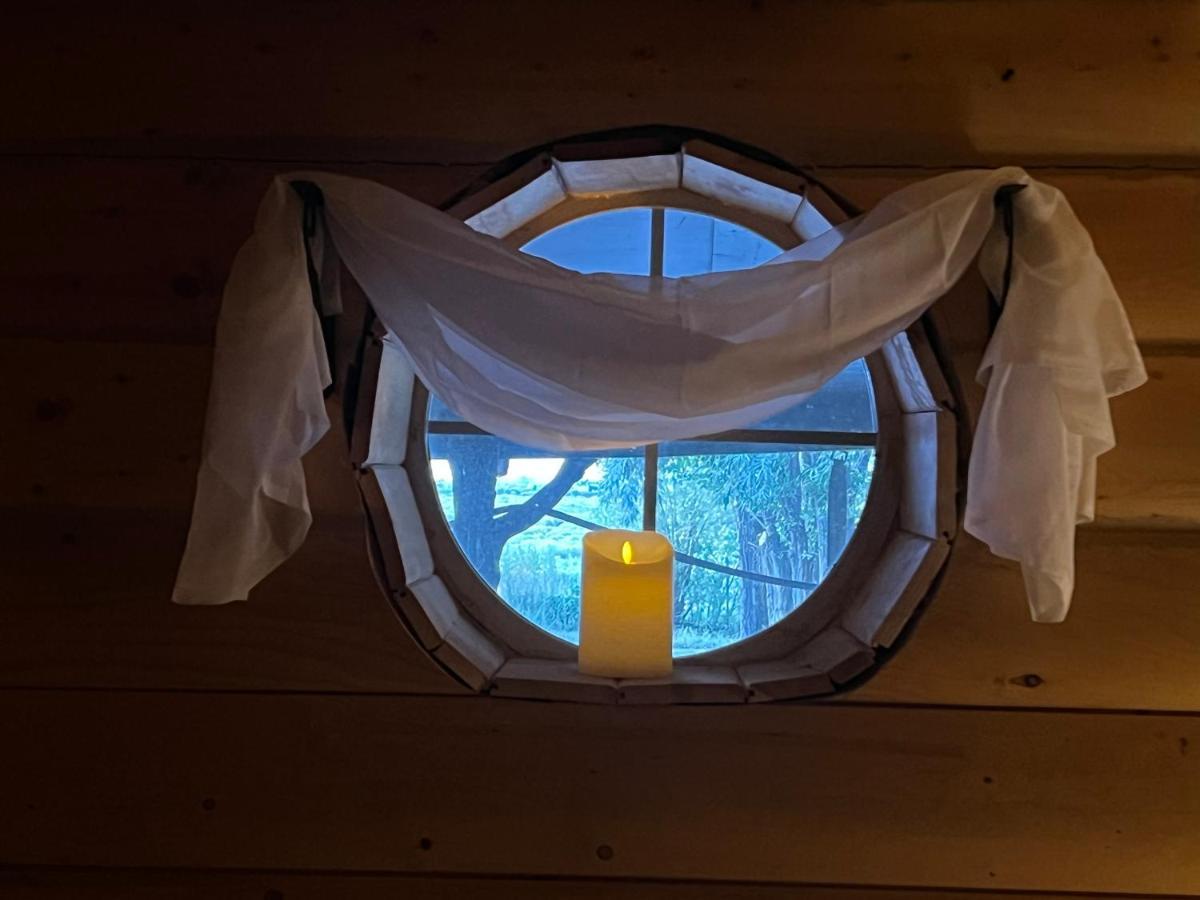 The Gratitude Homestay Alamosa Exterior foto
